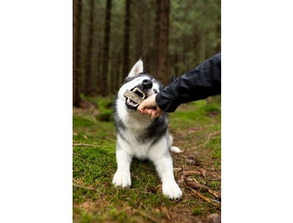 Marp Holistic tyčinka z tresčí kůže