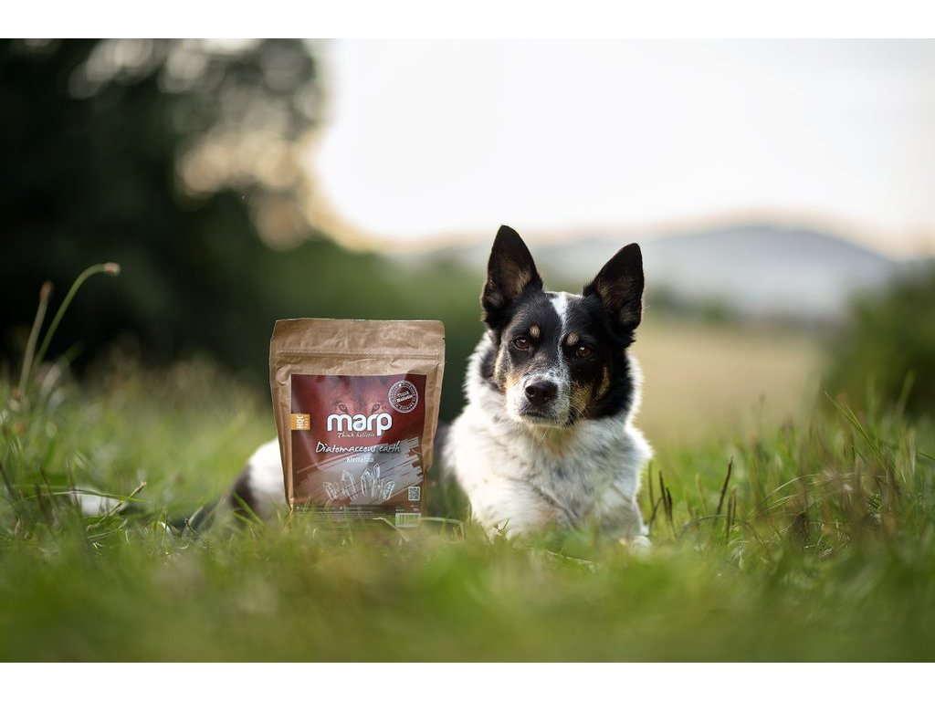 Marp Holistic - Křemelina 500g