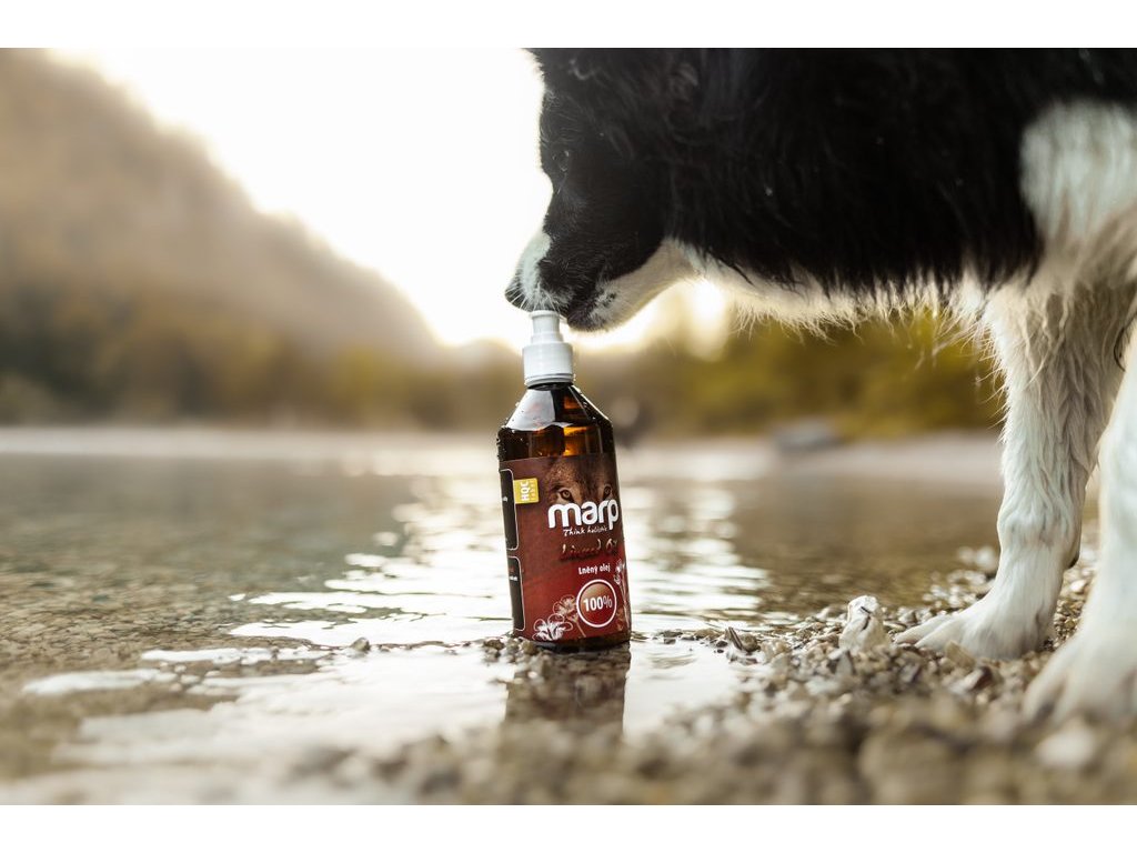 Marp Holistic - Lněný olej 1l