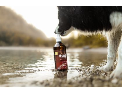 Marp Holistic - Lněný olej 1l