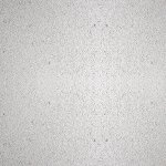 Kočkolit Magic Litter Bentonite Ultra White Baby Powder 5L/4,4kg