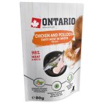 Kapsička Ontario kuře a treska ve vývaru 80g
