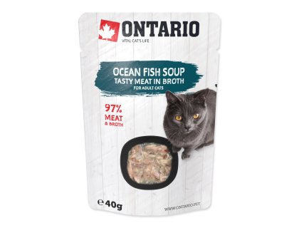 Polévka Ontario mořské ryby 40g