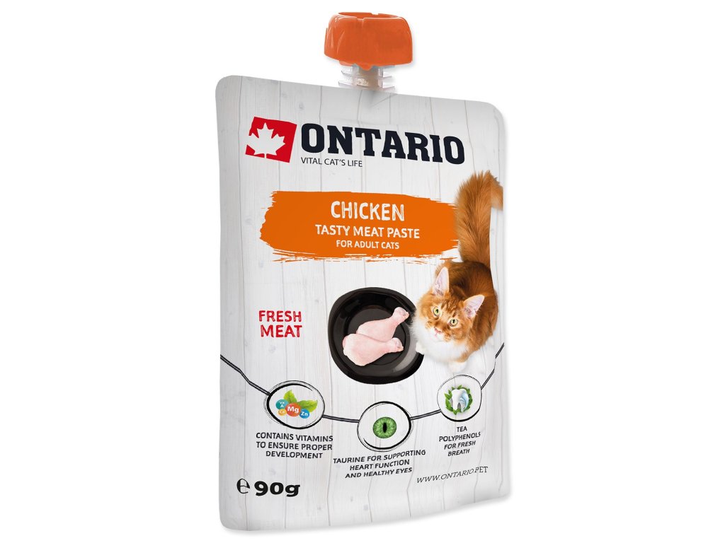 Pasta Ontario kuře 90g