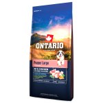 Krmivo Ontario Puppy & Junior Large Chicken & Sweet Potatoes 2x12kg + Barel ZADARMO
