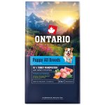 Krmivo Ontario Puppy & Junior All Breeds Monoprotein Turkey & Sweet Potatoes 6,5kg