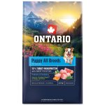 Krmivo Ontario Puppy & Junior All Breeds Monoprotein Turkey & Sweet Potatoes 0,75kg