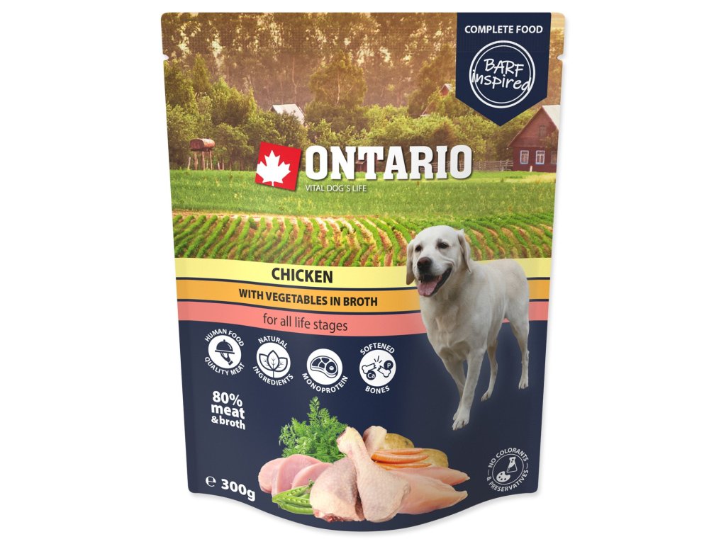Kapsička Ontario kuře se zeleninou ve vývaru 300g