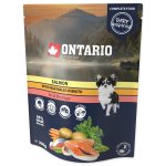 Kapsička Ontario losos se zeleninou ve vývaru 300g