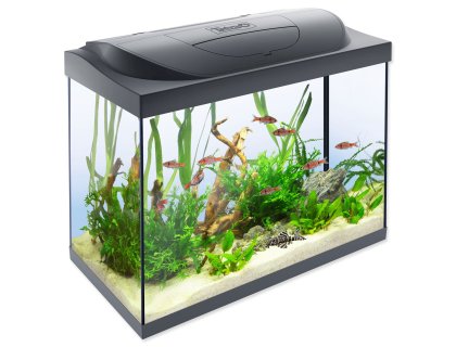 Akvarijní set Tetra Starter Line LED 61x32x51cm 80l