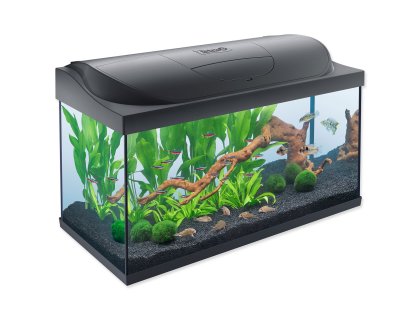 Akvarijní set Tetra Starter line LED 76x47x38cm 105l