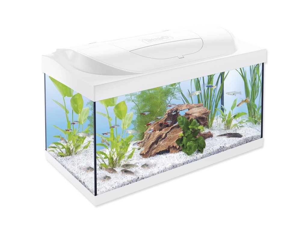 Akvarijní set Tetra Starter Line LED bílá 60x30x30cm 54l