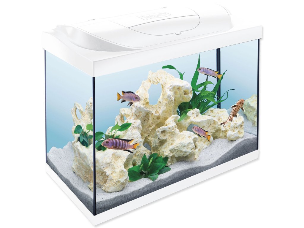 Akvarijní set Tetra Starter Line LED bílá 61x32x51cm 80l