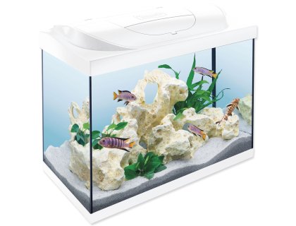 Akvarijní set Tetra Starter Line LED bílá 61x32x51cm 80l