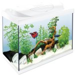 Akvarijní set Tetra Starter Line LED bílá 61x32x51cm 80l