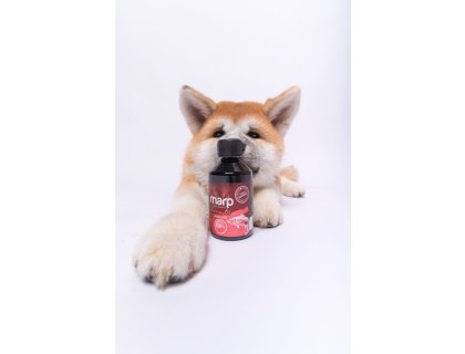 Marp Holistic - Lososový olej 250ml