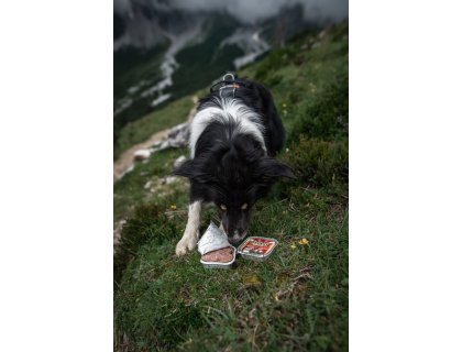 Marp Lamb vanička pro psy s jehněčím 16x100g