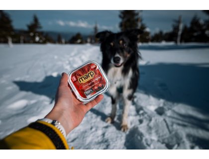 Marp Angus Beef vanička pro psy s hovězím 100g