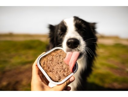 Marp Lamb vanička pro psy s jehněčím 100g