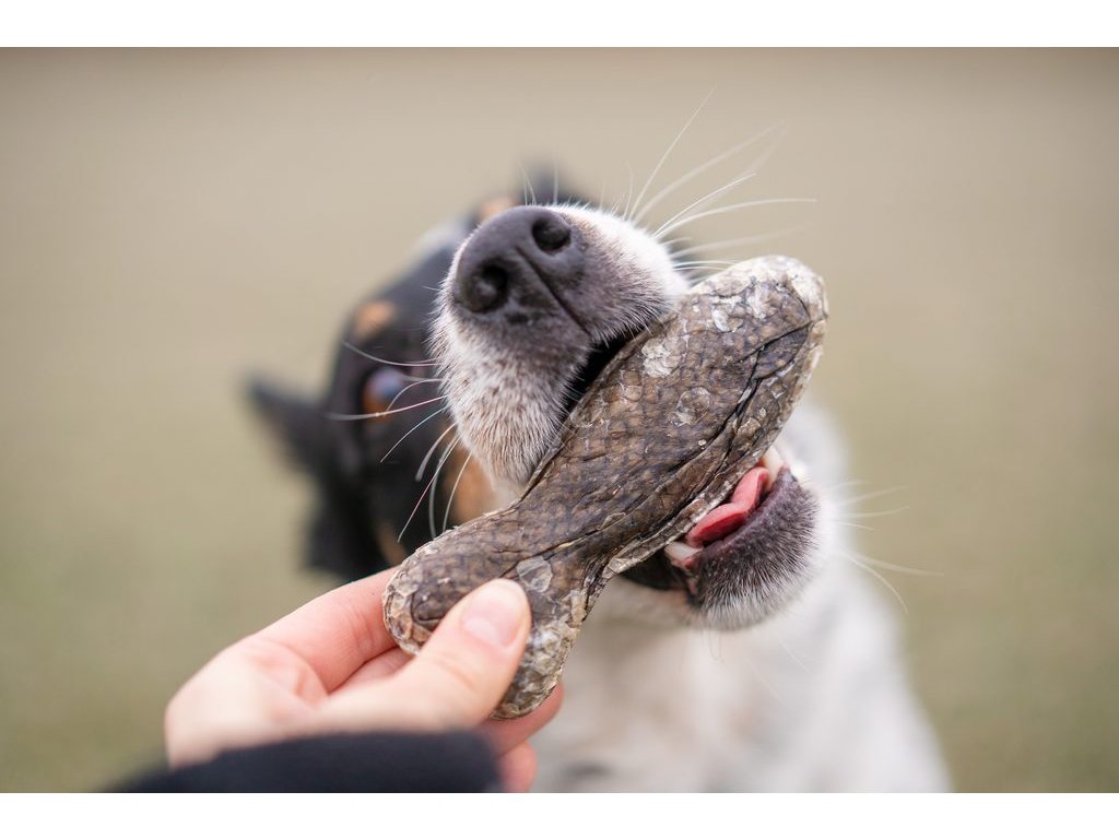 Marp Holistic kost z lososové kůže