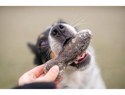 Marp Holistic kost z lososové kůže