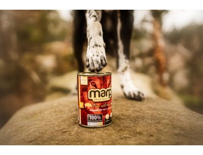 Marp Wild Boar konzerva pro psy s divočákem 400g