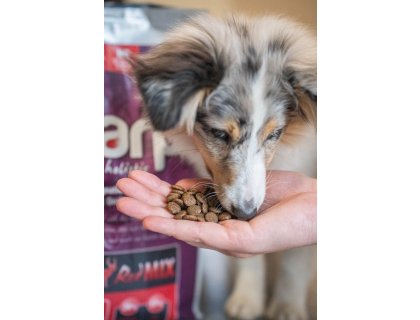 Marp Holistic Red Mix - hovězí,krůtí,zvěřina bez obilovin 2kg