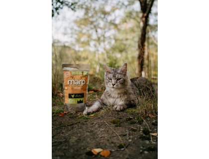 Marp Holistic Chicken CAT - kuřecí bez obilovin pro kočky 0,5kg