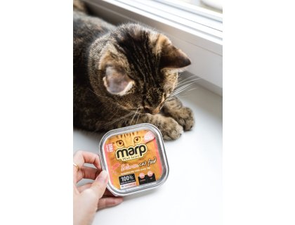 Marp Salmon vanička pro kočky s lososem 100g