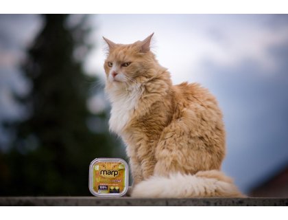 Marp Chicken vanička pro kočky s kuřecím 100g