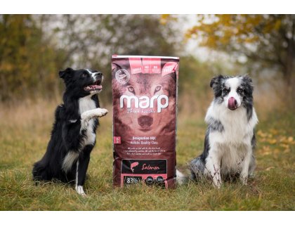 Marp Holistic Salmon - lososové bez obilovin 12kg