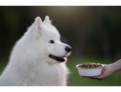 Marp Holistic White Mix LB - pro velká plemena bez obilovin 12kg